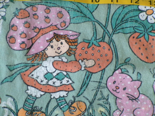 Strawberry Shortcake Women's Short Sleeve Green Printed T Shirt.  Size Large 