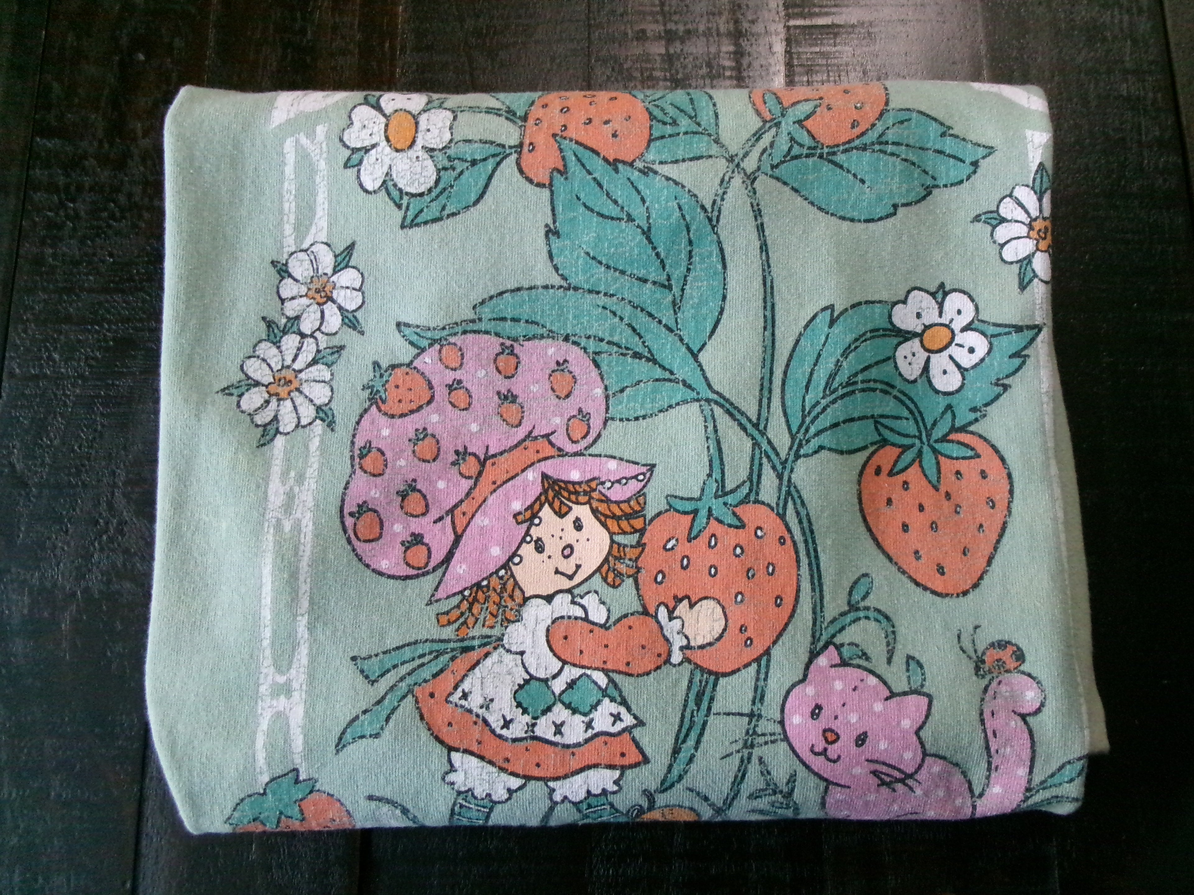 Strawberry Shortcake Women's Short Sleeve Green Printed T Shirt.  Size Large 